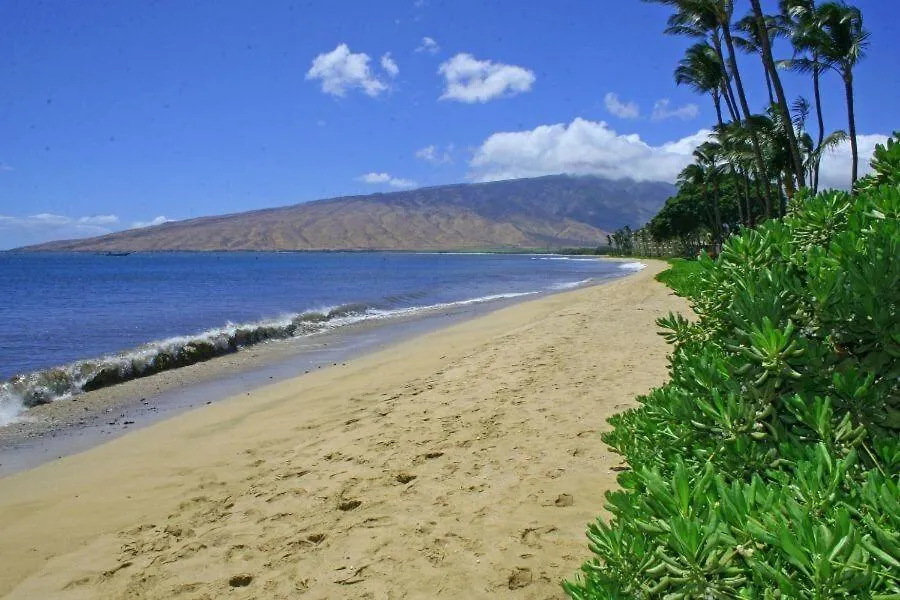 Kihei Beach, #510 Condo
